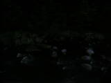 19 : 12
