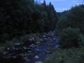 04 : 44