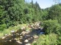 15 : 36