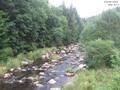 15 : 00