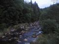 19 : 52