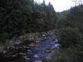 19 : 48