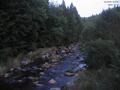 19 : 52