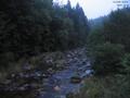 19 : 20