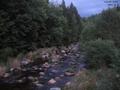 19 : 24
