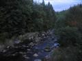 19 : 44