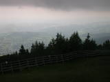 16 : 25