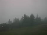 17 : 25