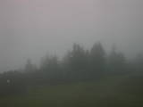 17 : 29