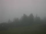 17 : 33
