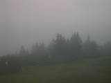 17 : 37