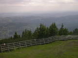 17 : 53