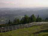 19 : 21