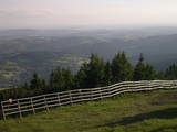 19 : 29