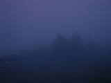 04 : 29
