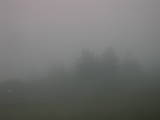 06 : 21