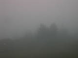 06 : 33