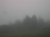 15 : 49