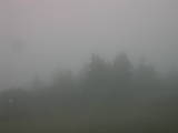 15 : 53
