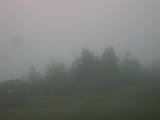 16 : 25