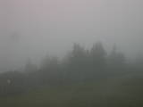 16 : 33