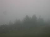 16 : 37