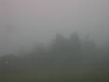 16 : 49
