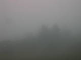 17 : 09