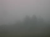 17 : 17