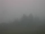 17 : 25