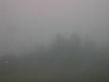 17 : 29