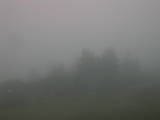 17 : 33