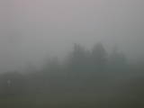 17 : 41