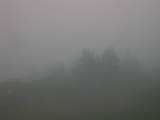 17 : 49