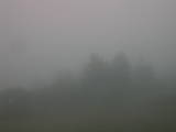 17 : 53