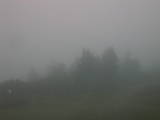 18 : 09