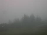 18 : 17