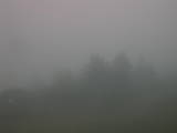 18 : 29