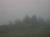 18 : 33