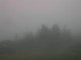 18 : 49