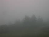 18 : 53