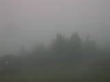 19 : 05