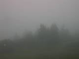 19 : 09