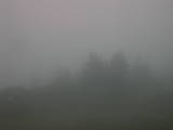 19 : 13