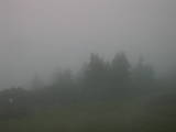 19 : 17