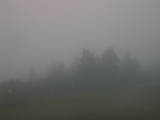 19 : 21