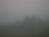 19 : 25