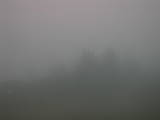 19 : 29