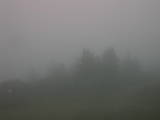 19 : 33