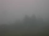 19 : 41